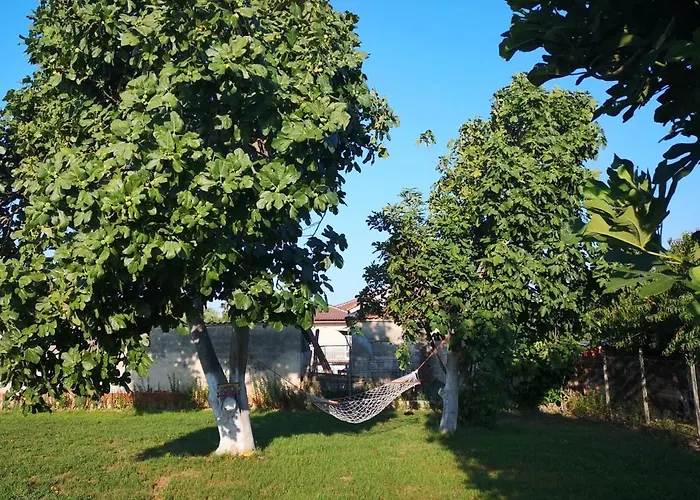 Hellios Alexandros *