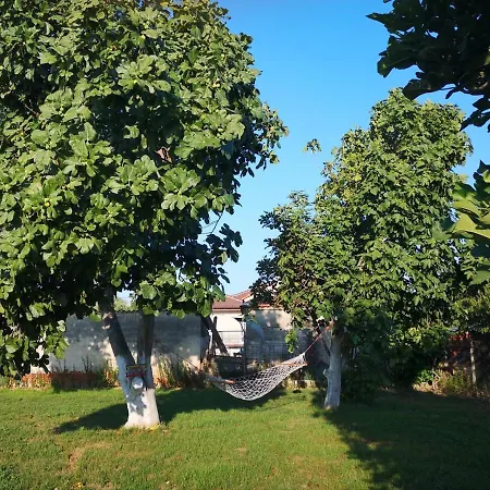 Hellios Alexandros *